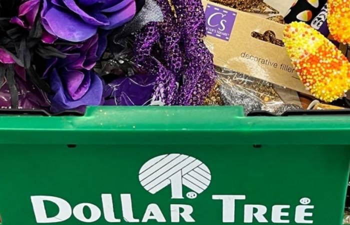 Dollar Tree: 5 consigli da tenere a mente quando si fa shopping | Stati Uniti | nnda nnlt | MESCOLARE