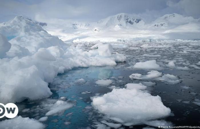 Lo scioglimento in Antartide sta raggiungendo il suo punto di svolta – DW – 28/06/2024