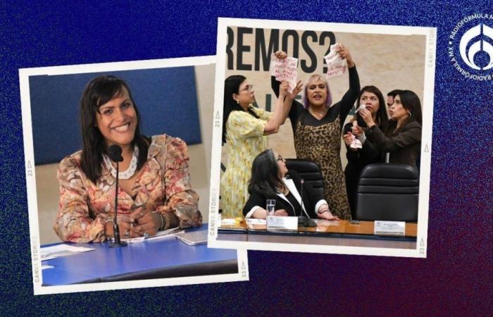 María Clemente: chi è la deputata che si è lamentata con il ministro Piña in un forum sulla riforma giudiziaria?
