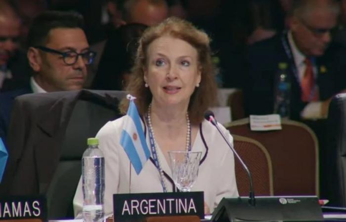 Diana Mondino ha chiesto all’OAS una soluzione per il conflitto delle Isole Malvinas e la richiesta è stata accolta per acclamazione