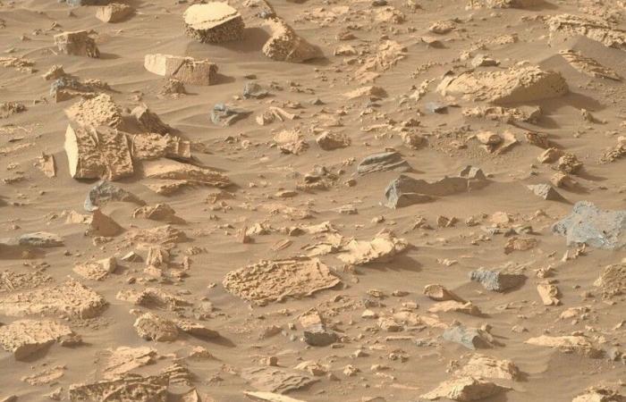 Di tutti i ritrovamenti di Perseverance nel suolo roccioso di Marte, questo non era sulla lista: “popcorn”