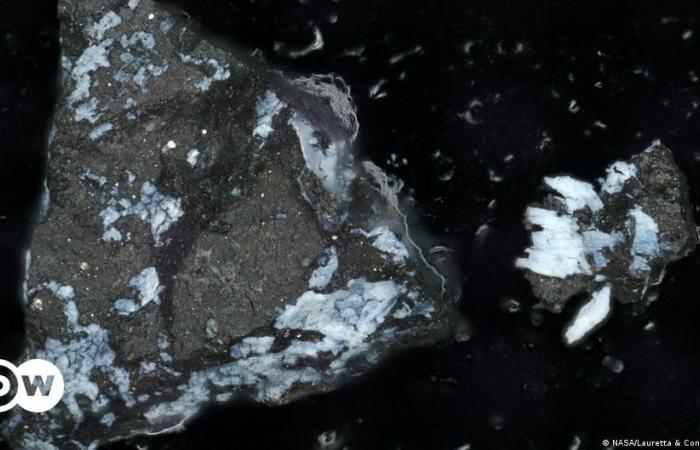 La NASA trova fosfato in campioni dell’asteroide Bennu – DW – 28/06/2024