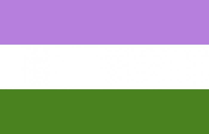 Cosa significa LGBTIQ+ e cosa simboleggiano le diverse bandiere all’interno della comunità?