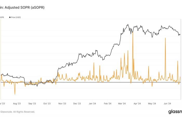Bitcoin: più di 1 milione di indirizzi ora detengono 1 BTC mentre il mercato osserva la ripresa