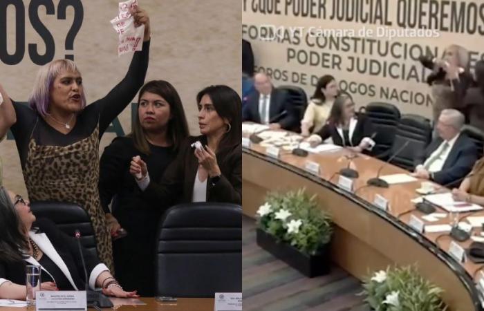 La deputata María Clemente organizza una protesta in tutta tribuna contro la Riforma del Potere Giudiziario