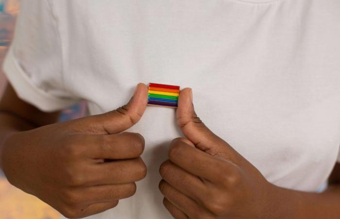 Casa de Nariño celebrerà la Giornata internazionale dell’orgoglio LGBTI+ con eventi