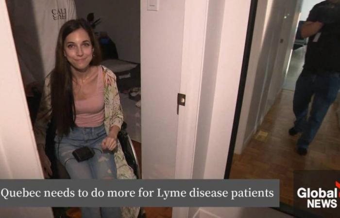 I casi di malattia di Lyme aumentano in Quebec, con più città in aree endemiche