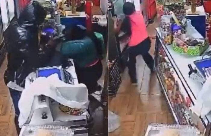 “Aiuto!”: due stranieri cadono dopo una scioccante aggressione armata contro madre e figlia in un’azienda di Antofagasta