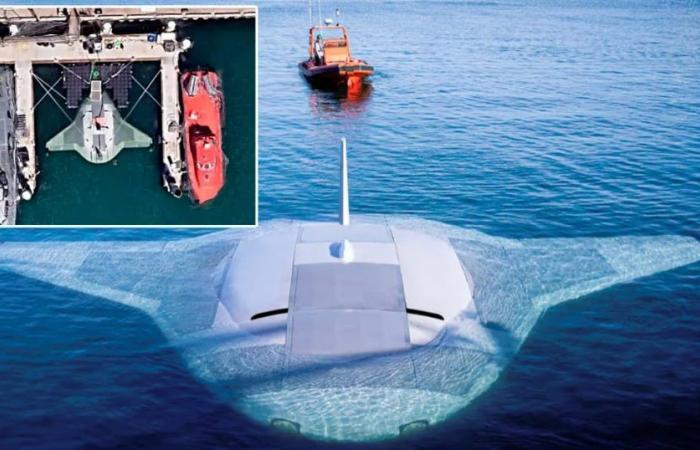 Un drone sottomarino, immagini virali e una base in California: l’intrigante scoperta su Google Maps