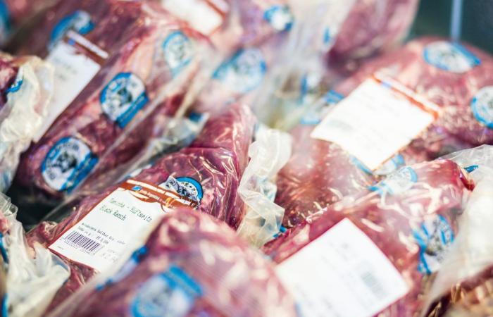 Dalla produzione di porte alla vendita di carne argentina in Germania – Expoagro 2024