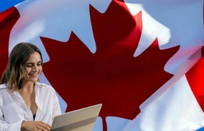Canada CERCHIAMO stranieri per LAVORARE: danno residenza