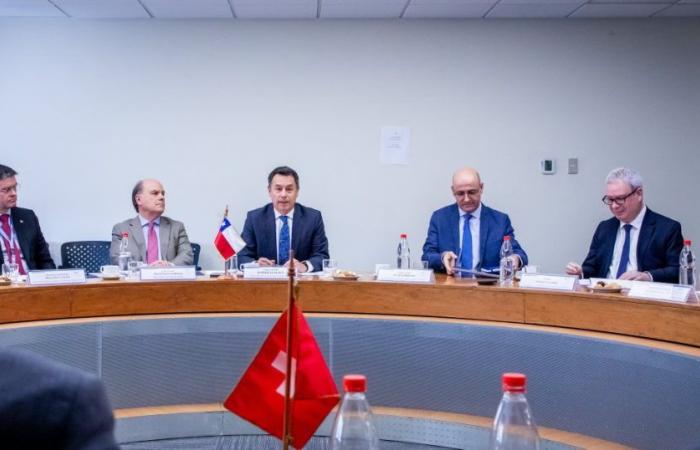 Cile e Svizzera tengono il VII Incontro di consultazioni politiche