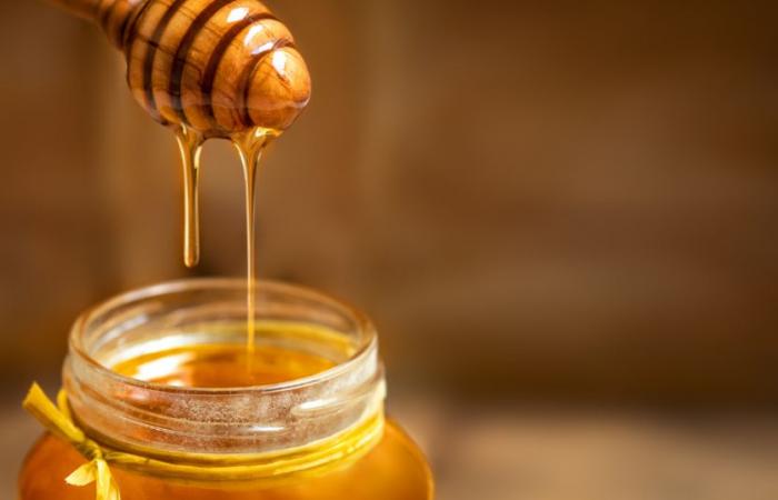 Miele di Cordoba: un tesoro naturale per promuovere la biodiversità e la crescita economica