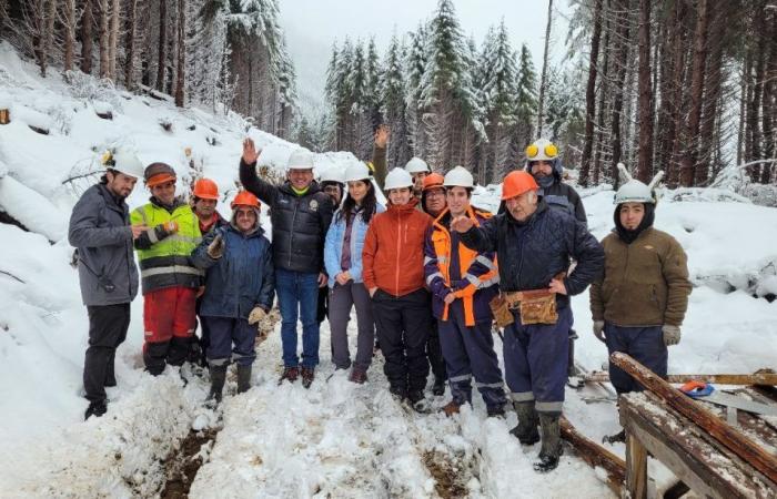 Spicca il lavoro dei funzionari Conaf per la consegna della legna da ardere ad Aysén