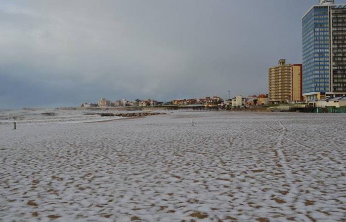 Weekend di neve e mare: previste nevicate a Mar del Plata e sulla costa atlantica | È in vigore anche l’allerta gialla.