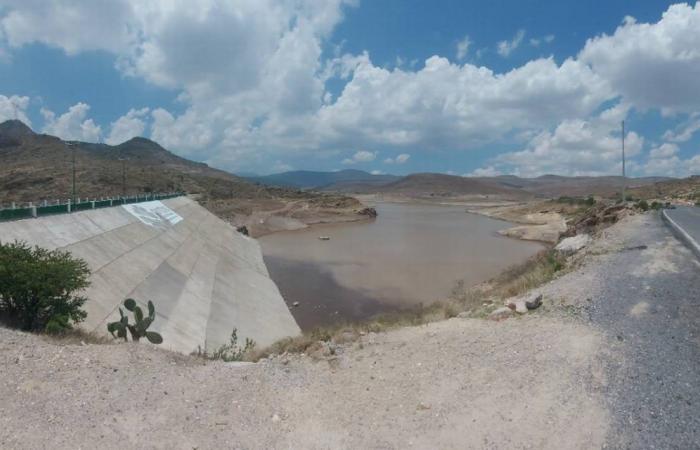 Le piogge hanno “alleviato” la siccità, ma il logopedista deve imparare la lezione: Félix Díaz – El Sol de San Luis