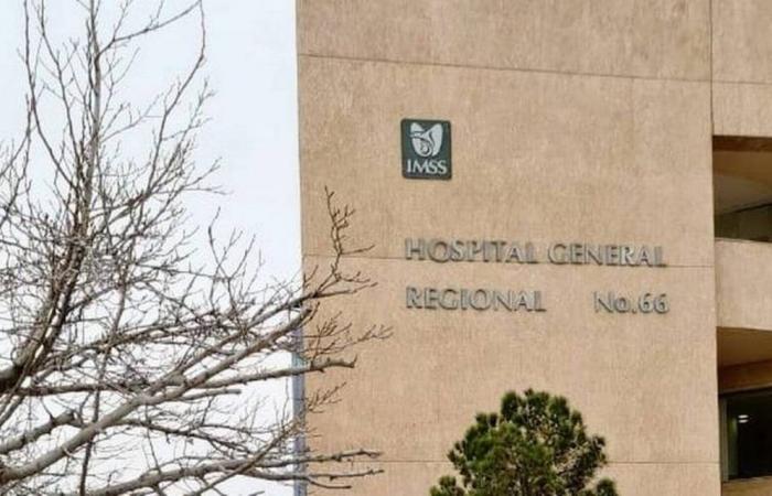 Bambino di quattro anni muore di rickettsia nella clinica IMSS 66 – El Heraldo de Juárez