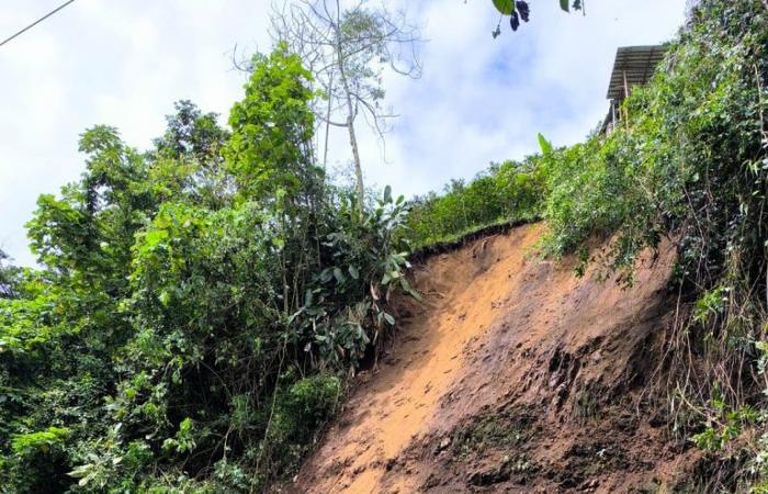 Le piogge hanno generato frane e cadute di alberi a Manizales