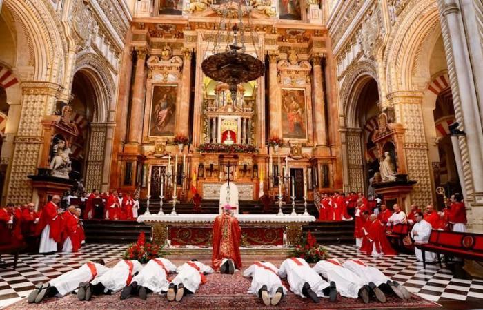 NUOVI SACERDOTI CÓRDOBA | Il vescovo ordina otto nuovi sacerdoti della diocesi di Córdoba