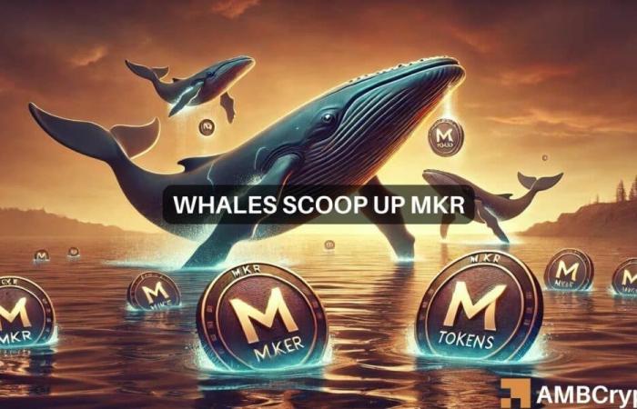 Le balene aumentano MKR poiché gli analisti prevedono un obiettivo di $ 4.000