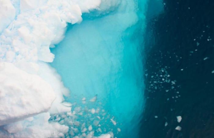 In Antartide, gli scienziati fanno una scoperta scioccante che mette tutti in allerta