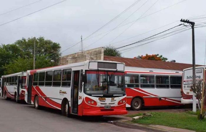 Chaco: a causa della mancanza di autobus, la città di Sáenz Peña consentirebbe il servizio di autobus