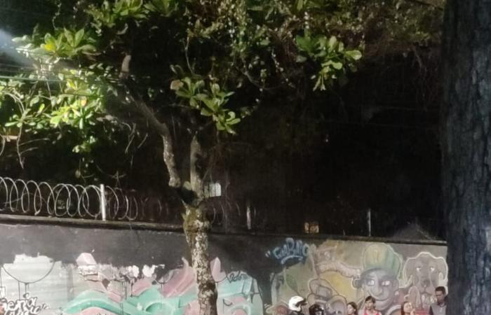 Il giovane motociclista è morto dopo essersi schiantato contro un albero a Bucaramanga