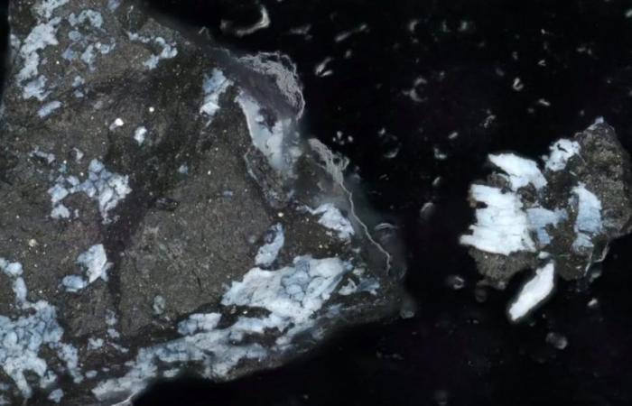 L’asteroide Bennu potrebbe aver avuto origine da un mondo oceanico