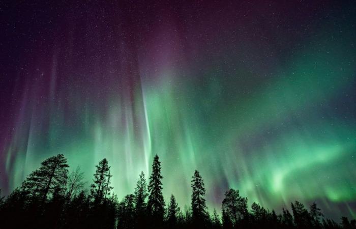 Hanno filmato per la prima volta dalla Terra un’enorme e rara “aurora di pioggia polare”