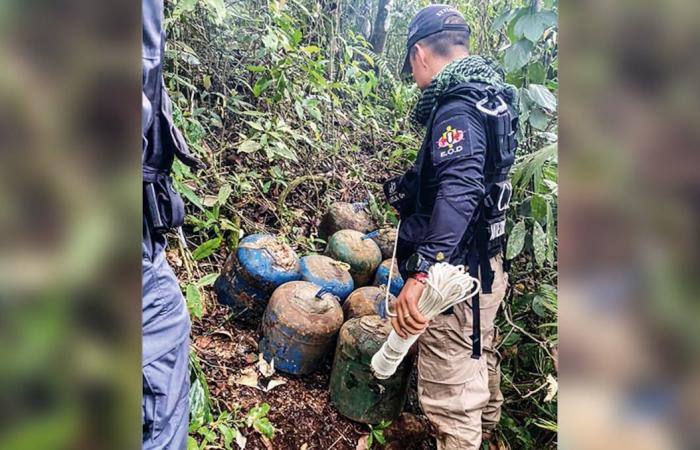 I dissidenti delle FARC vogliono prendere il controllo di Cali e hanno già cellule terroristiche per sottomettere il popolo di Cali: SEMANA rivela come operano