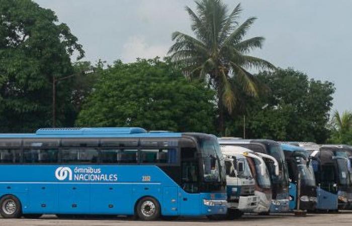 Il buon percorso degli autobus nazionali