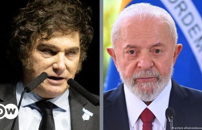 Javier Milei rifiuta di scusarsi con Lula da Silva – DW – 29/06/2024