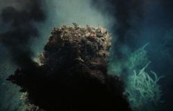 5 sorgenti idrotermali appaiono nel cuore oscuro dell’oceano