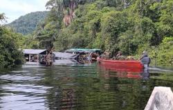 L’esercito venezuelano ha distrutto 14 stagni minerari illegali in Amazonas a maggio