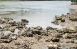 È necessaria un’azione urgente per il pericolo alla foce del fiume Godineau