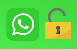 Whatsapp | guida definitiva per disattivare le notifiche di sicurezza | Applicazione | Caratteristiche | Strumenti | Trucco | Crittografia estrema | Crittografare | nnda | nnni | SPORT-GIOCO