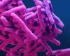 L’uso eccessivo di antibiotici “per ogni evenienza” durante il COVID-19 aggrava la resistenza batterica