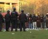 Decine di arresti durante le proteste filo-palestinesi alla Northeastern University – NBC New England