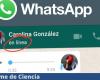 Come nascondere lo stato “online” di WhatsApp e altre opzioni per migliorare la tua privacy. – Insegnami la scienza