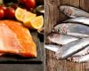 Qual è il pesce più sano e quali benefici offre?