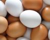 Qual è la differenza tra uova bianche e colorate?