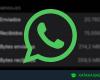 Come sapere quanti messaggi o chiamate hai inviato e ricevuto su WhatsApp
