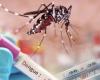 Sei morti per dengue a Huila: l’allerta persiste