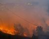 Cinque morti, 1.300 ettari di terreno colpiti dagli incendi boschivi dell’Uttarakhand, dicono le autorità
