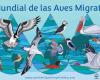 I naturalisti celebrano la Giornata mondiale degli uccelli migratori