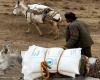 Aree colpite dalle inondazioni in Afghanistan “inaccessibili ai camion”, gli asini vengono in soccorso