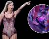 La foto di un neonato al concerto di Taylor Swift è diventata virale e ha scatenato l’indignazione degli “swifties”