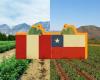 Il Perù stima di superare il Cile nel 2027 nelle esportazioni agricole. Quali sono i prodotti più richiesti?