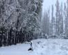 Mendoza, sotto una coltre bianca: immagini della prima nevicata in pianura