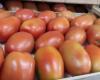 I pomodori a Jujuy sono diventati un lusso: il prezzo è alle stelle